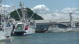 7月13日　外港の4隻の巻き網船（4 purse seine vessels in the outer port）