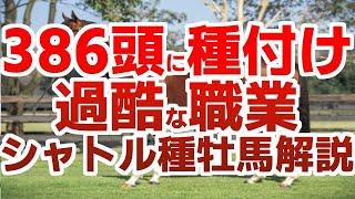 モーリスが種付けし過ぎ！？超過酷な職業・シャトル種牡馬解説【競馬ゆっくり】【ゆっくり解説】【ゆっくり茶番劇】【競馬事件簿】【私の競馬論】