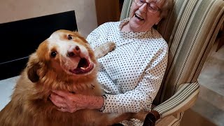 Cute moments of Grandparents and their Dog, who never talks about age with them❤️