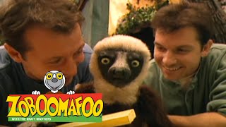 Zoboomafoo 126 - Playtime (Full Episode)