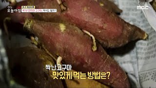 [생방송 오늘 아침] 싹 난 감자와 고구마, 먹어도 될까?!, MBC 240103 방송