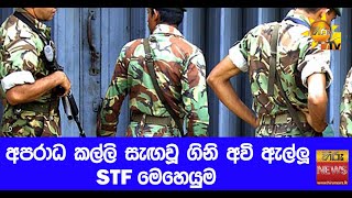 අපරාධ කල්ලි සැඟවූ ගිනි අවි ඇල්ලූ STF මෙහෙයුම