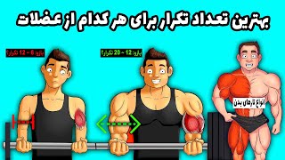 بهترین تعداد تکرار برای هر کدام از عضلات