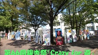 第66回銀杏祭「Crazy for 遊」