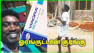 தீவிரவாதி மாதிரி எடிட் பண்ணாதுங்க #settai muthu #paperid #comedy