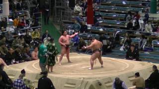 千代嵐-木崎/2017.3.18(23)/chiyoarashi-kizaki/day7 #sumo