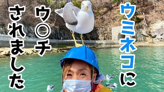 【青の洞窟】ウミネコに、ウ○チされました。岩手県宮古市で海を満喫してきた！　車中泊　キャンピングカーの旅#5