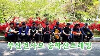 #부산걷사모 #승학산 트래킹