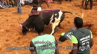 Thammampatty jallikattu 2018 - part 2