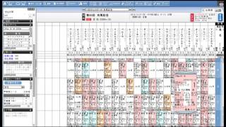 ２０１５年　有馬記念予想（キタサンブラック編　２０１１年　２００８年有馬記念レース回顧付）