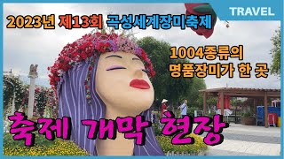 2023년 제13회 곡성세계장미축제 개막 현장| 명품장미가 일제히 꽃문을 연 1,004 종의 장미와 함께 펼쳐지는 화려한 봄의 곡성 페스티벌 '황금장미를 찾아라'