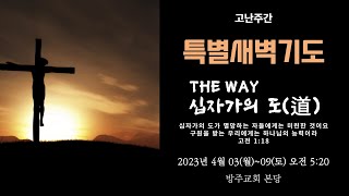 [고난주간 특별새벽기도] 2023.04.07(금) THE WAY  십자가의 도  -  반태효 담임목사