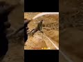 #jet #hose #and #worker #funnyvideo #funnyfails #shorts @sempa-sho4142