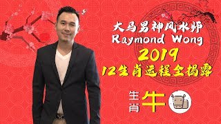 大马男神风水师Raymond Wong【2019年生肖运程全揭露！】生肖:牛