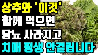 상추와 함께 먹으면 보약되는 음식 3가지와 레시피 총정리ㅣ값비싼 영양제 대신 이것 드세요 상추 씻어도이부분대장균득실합니다ㅣ상추는 이렇게 드시면 보약보다 좋습니다