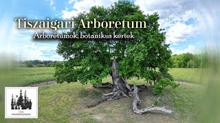 Tiszaigari Arborétum