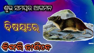 ଶୁଭ ସମୟର ଆଗମନ ବିଷୟରେ କିପରି ଜାଣିବେ।#sadhubani #shorts #ajirasadhubani #ajira_anuchinta