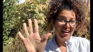 Tip 5 Nurturing Curiosity Connecting In Nature