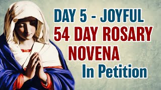 54 Day Rosary Novena Day 5 💙 Joyful Mysteries