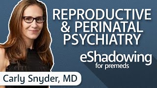 How to Become a Psychiatrist with Carly Snyder, MD | eShadowing for Premeds Ep. 17