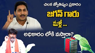 చిలక జోస్యం ప్రకారం, జగన్ కి మళ్ళీ పదవీ అధికారం వుందా? | Jagan Ki Malli PadaviA dhikaram Vastunada?