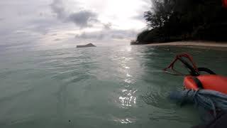 East Side Dive Session Oahu, Hawaii