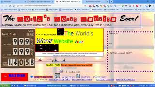 The World's Worst Website Ever