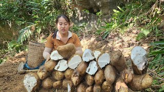 Today was my lucky day - harvested a lot of giant potatoes to take to the market to sell.