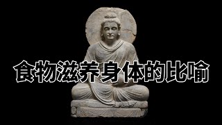 第六百六十章 食物滋养身体的比喻。完全读懂巴利文大藏经（660）