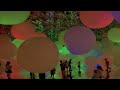 澳門teamlab macau超自然空間浸沉式體驗 漂浮的花園｜en tea house 幻花亭茶屋｜犯咗所有男人都會犯o既錯誤｜iphone啲片delete晒｜史上最廢o既澳門旅遊片｜asmr