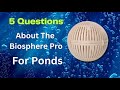 5 Questions About The Biosphere Pond Treatment