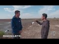 《远方的家》 20240207 山河锦绣看中国 辽东湾畔 丰饶宝地 cctv中文