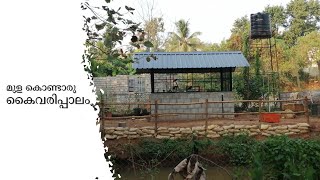 BAMBOO BRIDGE| നമ്മുടെ ഫാർമിലെ പുതിയ മുളക്കൊണ്ടൊരു കൈവരി പാലം | FARMHOUSE PALAKKAD| AJMAL. AHSAN K