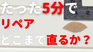 5分でリペアどこまでできるかチャレンジ【WOOD REPAIR】白い巾木補修