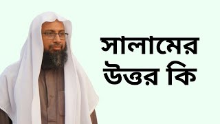 সালামের উত্তর কি