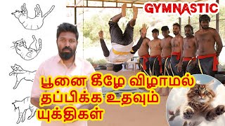 பூனை கீழே விழாமல் தப்பிக்க உதவும் யுக்திகள் / Gymnastic