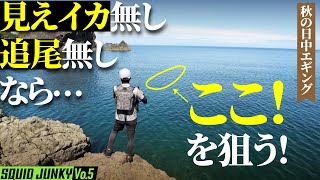 【秋の日中エギング】厳しい状況で狙うべきポイント！見えイカ無し…追尾も無し…ならここを狙う！｜スクイッドジャンキー Vo.5