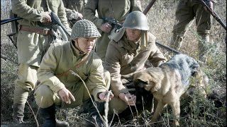 又一個士兵被國軍狙殺！ 日軍一怒之下派出警犬追擊，卻被對方一招妙計制服！