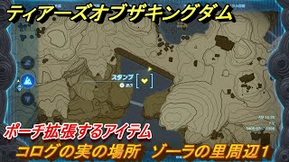 ティアキン　コログの実の場所　ゾーラの里周辺１　ポーチ拡張するアイテム　＃８２２　【ゼルダの伝説ティアーズオブザキングダム】