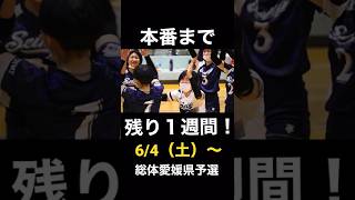 インターハイ本番まであと1週間！！ #shorts #volleyball #バレーボール #ハイキュー #今治 #愛媛 #2022 #インターハイ #総体 #女子バレー #バレー