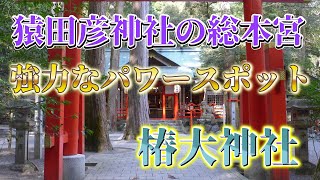 【猿田彦神社の総本宮】三重県鈴鹿市「椿大神社」、松下幸之助がよく参拝に来ていた導きの神で初詣でもすごく人気がある神社です