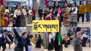 ཨ་རིའི་ཏྲེ་ཧོར་སྐྱིད་སྡུག་ཀྱི་ལོ་གསར་མཉམ་འཛོམས་་།Tibetan American Tehor Association Losar party 3