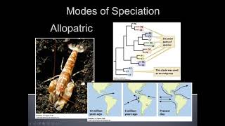 Unit 3.4.2 Species and Geography