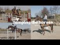 JUMPING THE HORSES - After a year off!