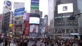 Shibuya Crossing Tokyo