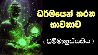 ධර්මයෙන් කරන භාවනාව | ධම්මානුස්සති භාවනාව |Samadhi bhawana