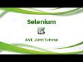 Junit Selenium Tutorial   Selenium Training  , ANT and Selenium   Visit QTPSELENIUM.COM