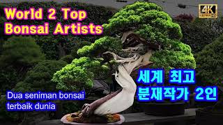 세계 최고의 분재작가 2인작품 World's 2 Top Bonsai Artists #bonsai #분재 #분재경매 #bonsaitree #소나무 #소나무분재