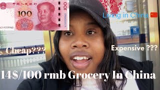 COST OF LIVING IN CHINA 🇨🇳// 100 rmb Grocery shopping 🍋🥑