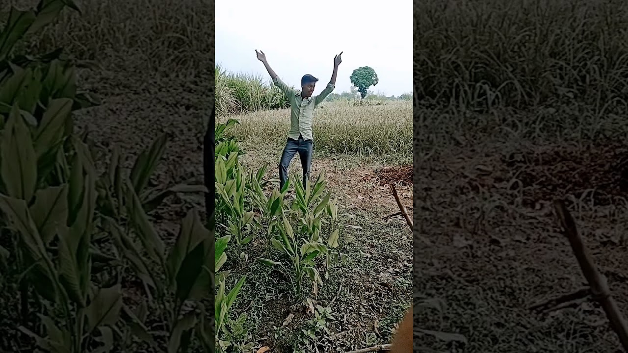 Bhojpuri Short Dance Youtube